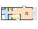 東区箱崎1丁目新築の間取り画像