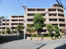キャメロット上永谷の間取り画像