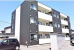 サンシェスタ田中町の外観