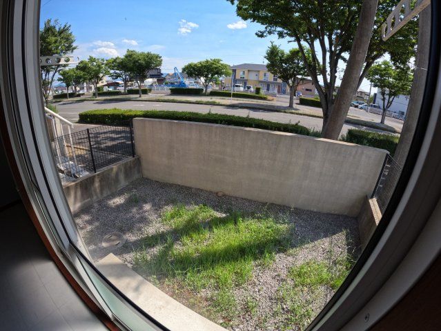 庭