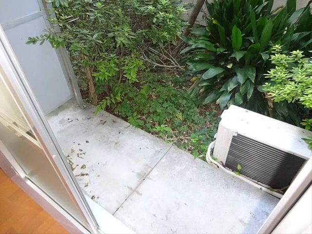 庭
