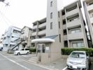 ベルエール南観音の間取り画像