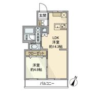 ワールドパレス学芸大学の間取り画像
