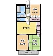 ミダスハイツの間取り画像
