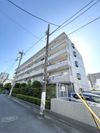 ステラメゾン大森の間取り画像