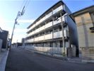 レオパレスサンサン木の実の間取り画像