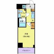 ディアレイシャス横浜吉野町の間取り画像