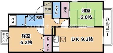 オネスタスガB棟の間取り画像