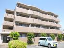 アポロミレニアの間取り画像