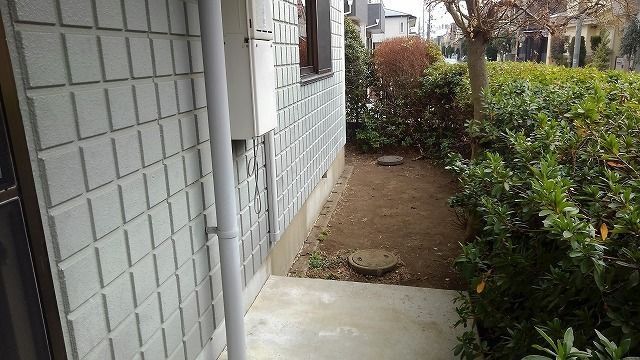 庭