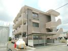 マンションむくの樹の間取り画像