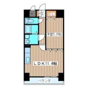 県庁前レジデンスの間取り画像