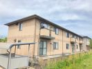 嬉しいネット無料付き【サンテラス】の間取り画像
