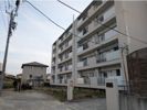 尾張旭平子ハイツの間取り画像
