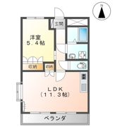 シャルムコートの間取り画像