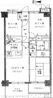 ナイスアーバン五反野中央本町の間取り画像
