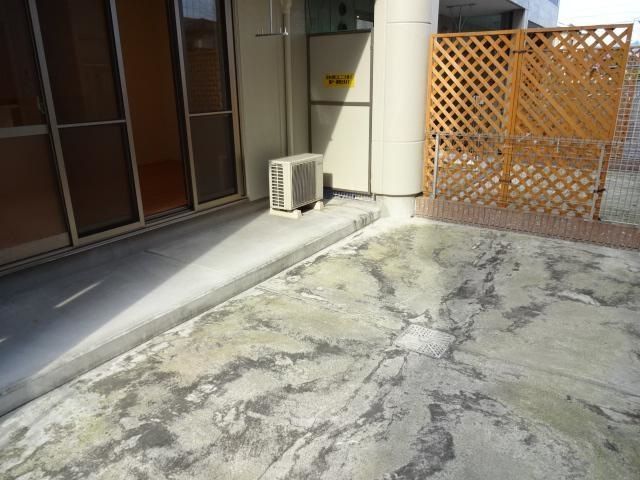 庭