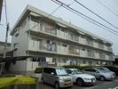 インターコーポ藤の間取り画像