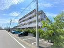 youngleavesの間取り画像