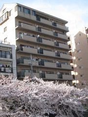 バイムフルス白金Ⅰの外観画像