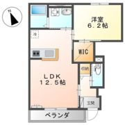 Amour Ayaの間取り画像