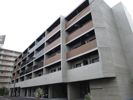 セジョリ板橋坂下Ⅱの間取り画像