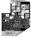 Courtyard Asakusaの間取り画像
