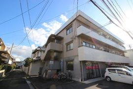 グランデ・パラッツォ・大芝Ⅲの外観画像