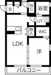 ハレアカラの間取り画像