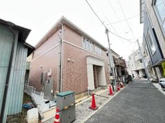ヘリクリサムの外観画像