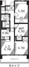 アルビオ北新横浜の間取り画像