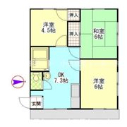 新洋ハイツの間取り画像