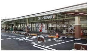 コープもりやま店（スーパー）まで1186m