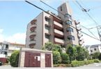メルヴェーユコマドリの外観