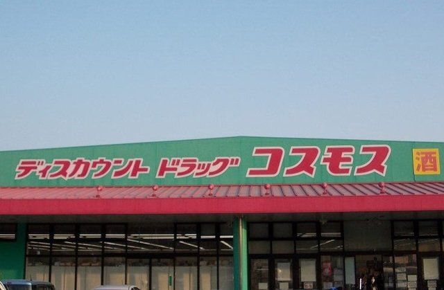 コスモス志布志店まで250m