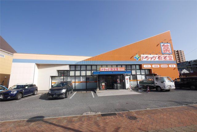ドラッグ新生堂下曽根店(1100m)