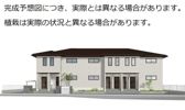 Ranunculusの外観