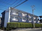 Oryza西古松の間取り画像