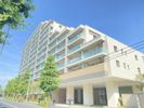 キュロコ千歳船橋の間取り画像