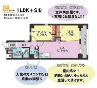 カーサ ラピスの間取り画像