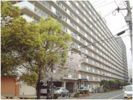 コープ野村大手町II514号の間取り画像