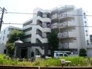 ジョイフル池上の間取り画像