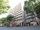 ロイヤルシティ大橋の間取り画像