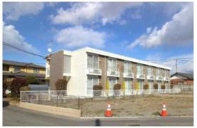 樟の木の外観画像