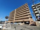 アルファライフ松島の間取り画像