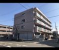 ドミール栄の間取り画像