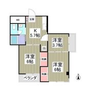 メゾン中郷の間取り画像