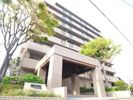 サーパス姪浜の間取り画像