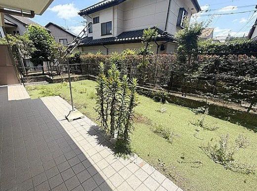 庭