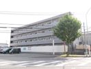 アンプルールベトン筑紫通りの間取り画像